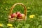 Basket with Apples.