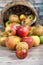 Basket of apples spilled on the table