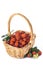 Basket with arbutus unedo fruits over white