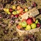 Basket of Autumn Apples in Warm Afternoon Sunshine