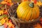Basket of autumn decoration mini pumpkins