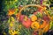 Basket autumn fruit colorful pumpkins asters