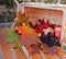 Basket with autumn leafs and berries