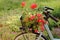 Basket bike with red flowers