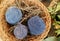 Basket of Blue Peruvian Alpaca Wool Yarn Balls Natural Dyed from Local Plants at Chinchero, the Andes Village in Cuzco, Peru