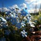 Basket of blue and white flowers outdoors on a blurred background. Beautiful modern still life of flowers in a beautiful basket on