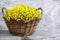 Basket with a bouquet of tansy flowers