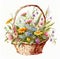 Basket with camomiles watercolor hand drawn illustration wild flowers