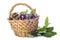 Basket with chestnuts isolated on a white background