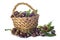 Basket with chestnuts isolated on a white background