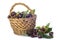 Basket with chestnuts isolated on a white background