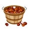Basket with chestnuts. Vector illustration.