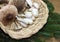 A basket with different mushrooms from the forest