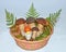 Basket with edible mushrooms