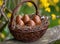 A basket filled with chocolate eggs, easter chocolates image