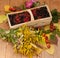 A basket filled with ripe berries and a bouquet of filed flowers on a wooden surface decorated with hips and autumn leaves