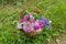 the basket of flowers carnations daisies bluebells on the grass