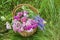 the basket of flowers carnations daisies bluebells on the grass