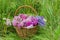 the basket of flowers carnations daisies bluebells on the grass