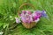 the basket of flowers carnations daisies bluebells on the grass