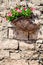 Basket flowers hanging on a old brick wall stones