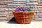 Basket with fresh decorative flowers