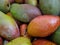 A basket of fresh mangoes