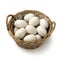 Basket with fresh picked goose eggs close up on white background