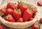 A basket of fresh-picked strawberries, each berry showcasing its bright red hue and natural imperfections.