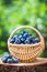 Basket with fresh ripe blueberries in forest.