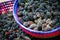 Basket of fresh wild mulberries in California