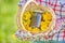 Basket of fresh yellow natural dandelion herb