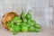 Basket of freshly harvested bottle gourds