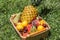 Basket of fruit on green grass