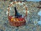 Basket with fruits, bottle of sparkling wine and dark glasses on the beach. Two crystal glasses near it on the pebbles and a piece