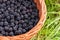 Basket full of blackberries