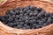 Basket full of blackberries