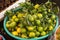 Basket full of green tangerines