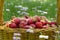 Basket full of luscious ripe red strawberries