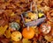 Basket full of ornamental pumpkins with colourful gourds