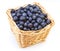 basket full of a ripe bilberry on a white background