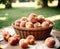 Basket full of ripe peaches