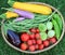 Basket of Garden Vegetables