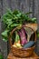 Basket with gifts of autumn consisting of carrots, beets, zucchini, apples, wheat on an old chair . Harvest