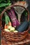 Basket with gifts of autumn consisting of carrots, beets, zucchini, apples, wheat on an old chair . Harvest