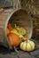 Basket of Gourds