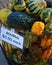 Basket of Gourds