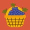 Basket of grapes. Agricultural products.