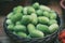 Basket with green Wild Cucumbers