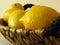 A basket of juicy ripe vivid yellow lemons. Healthy tropical fruit rich of vitamin C.